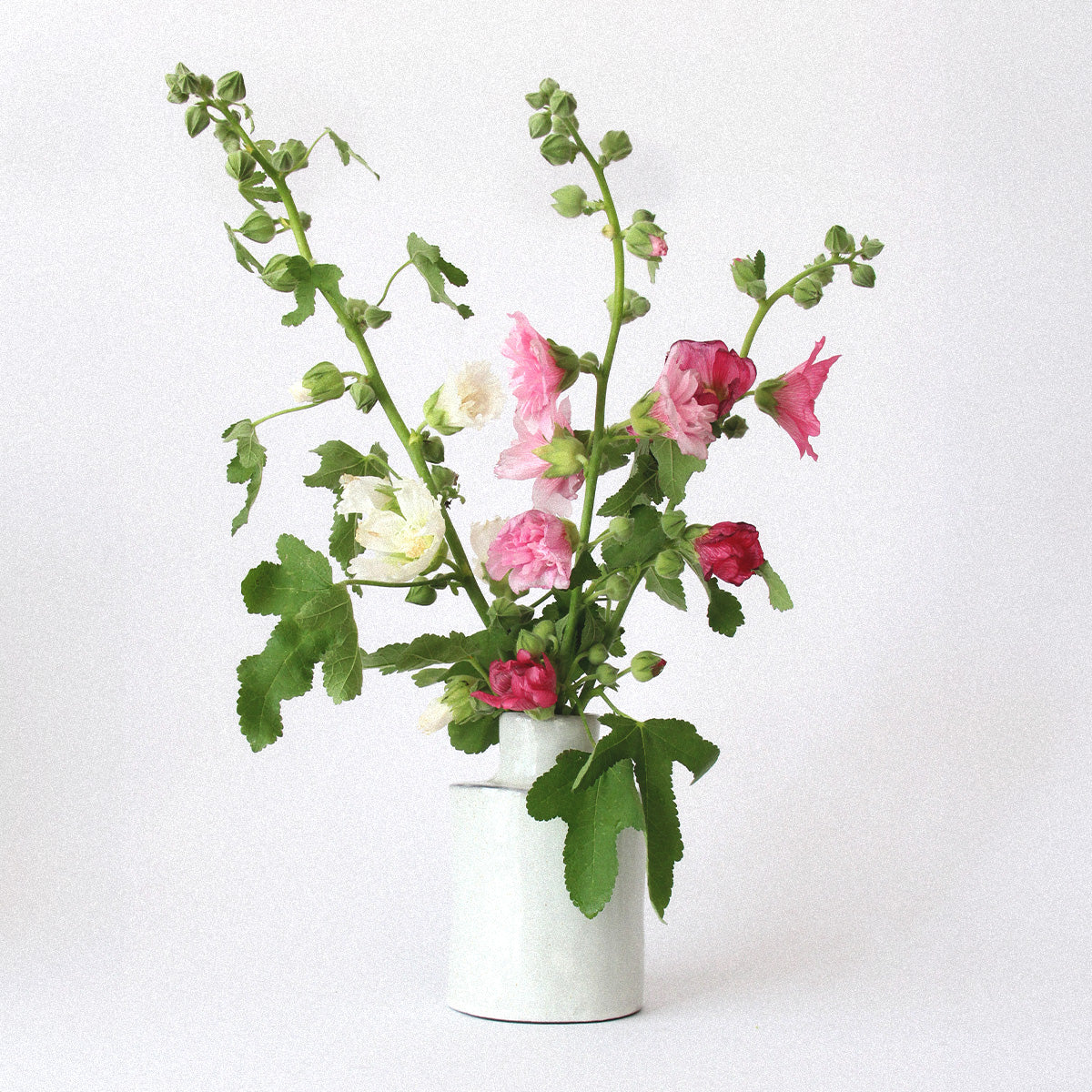 Héléna Marie Vase 04