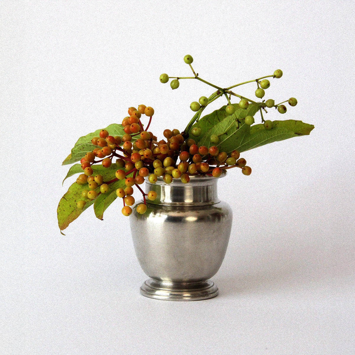 Rimmed Vase